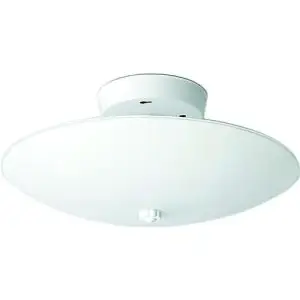 12" 2 Light Round Glass Fixture - White