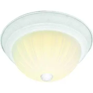 11" Flush 2 Light Frosted Glass - White