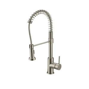 SPRING KITCHEN FAUCET-BRUSHED NICKEL, METAL